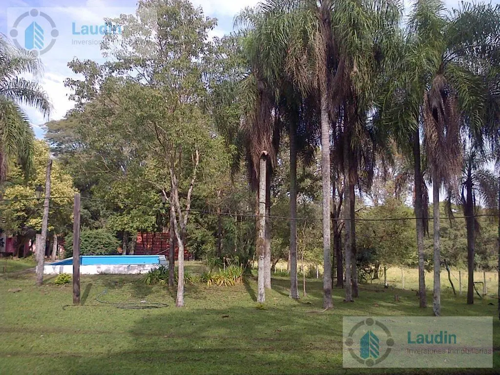 Se vende Campo ganadero forestal - Santa Ana 4