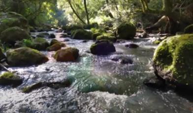 Complejo Turistico en La Selva Misionera a Minutos de Oberá - Misiones - Arg. 5