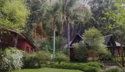 Complejo Turistico en La Selva Misionera a Minutos de Oberá - Misiones - Arg. 4