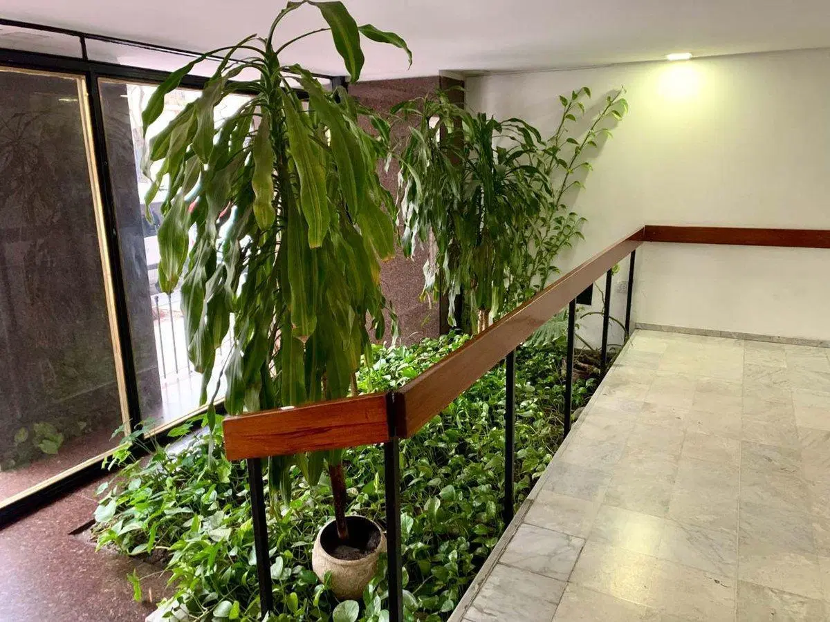 DEPARTAMENTO 3 AMBIENTES BALCON FRENTE SAN TELMO 4