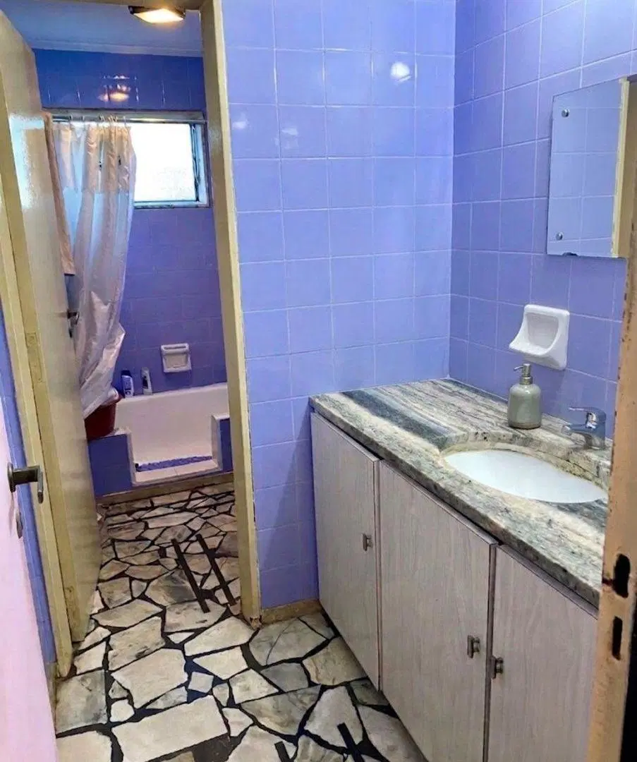DEPARTAMENTO 3 AMBIENTES BALCON FRENTE SAN TELMO 4