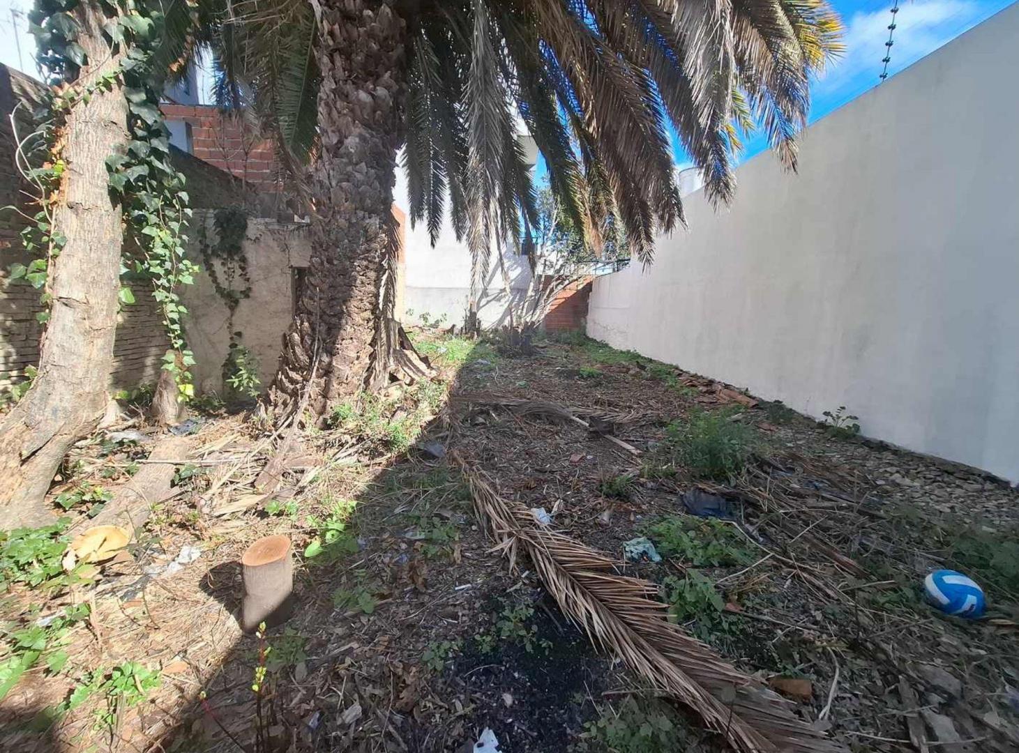 Foto de VENTA LOTE SOBRE AVENIDA IDEAL CONSTRUCTOR, imagen 4