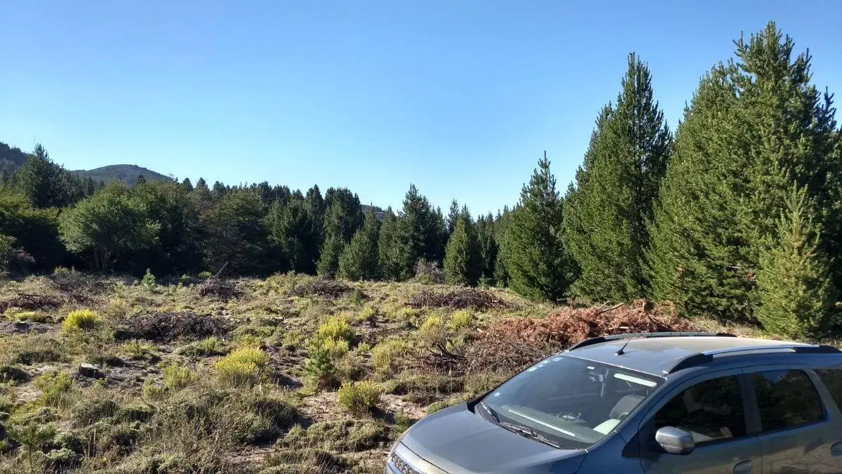 ️Lote Terreno en Villa Lago Meliquina️ San Martin de los Andes Neuquen Patagonia Argentina 2