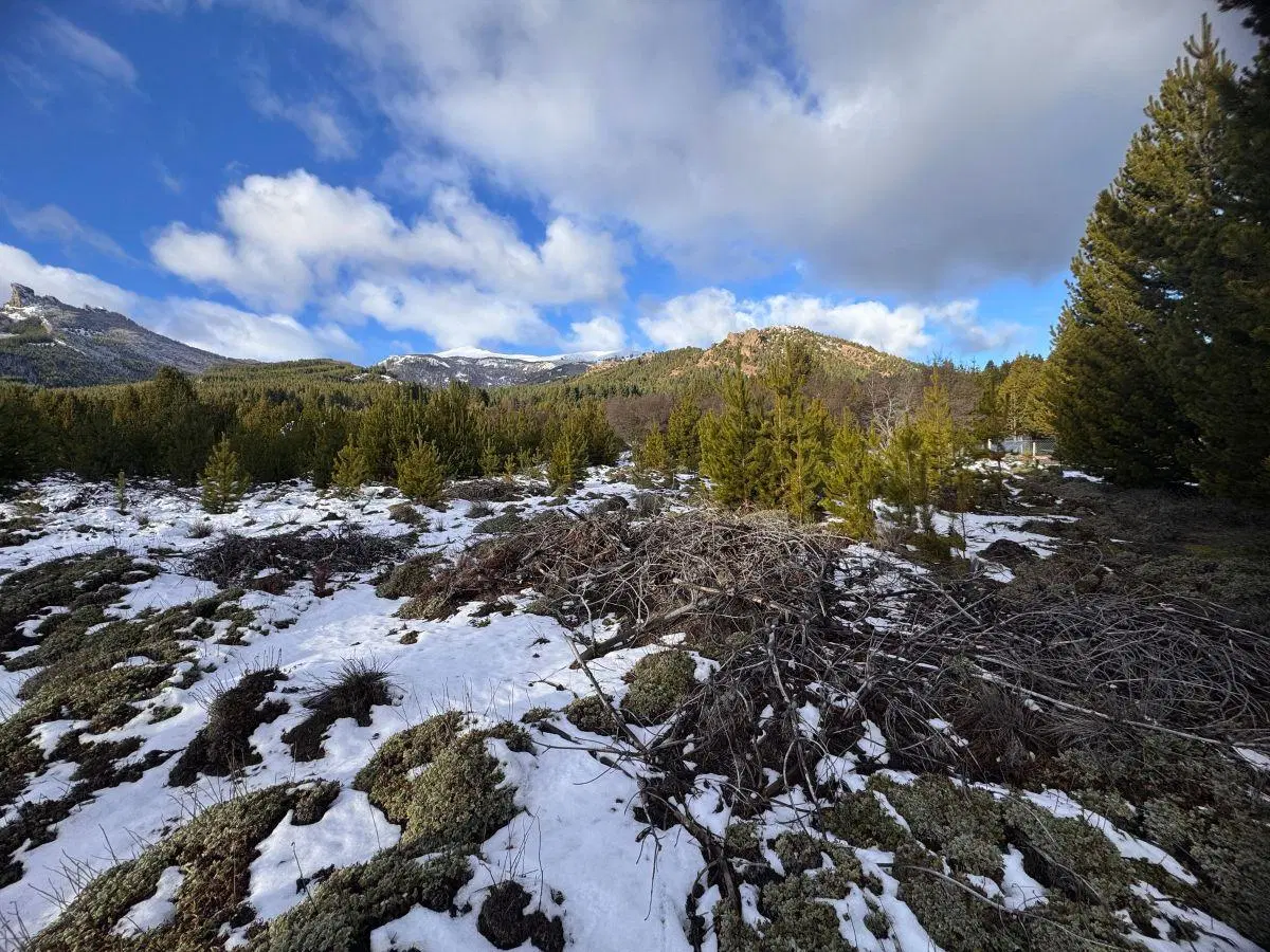 ️Lote Terreno en Villa Lago Meliquina️ San Martin de los Andes Neuquen Patagonia Argentina 4