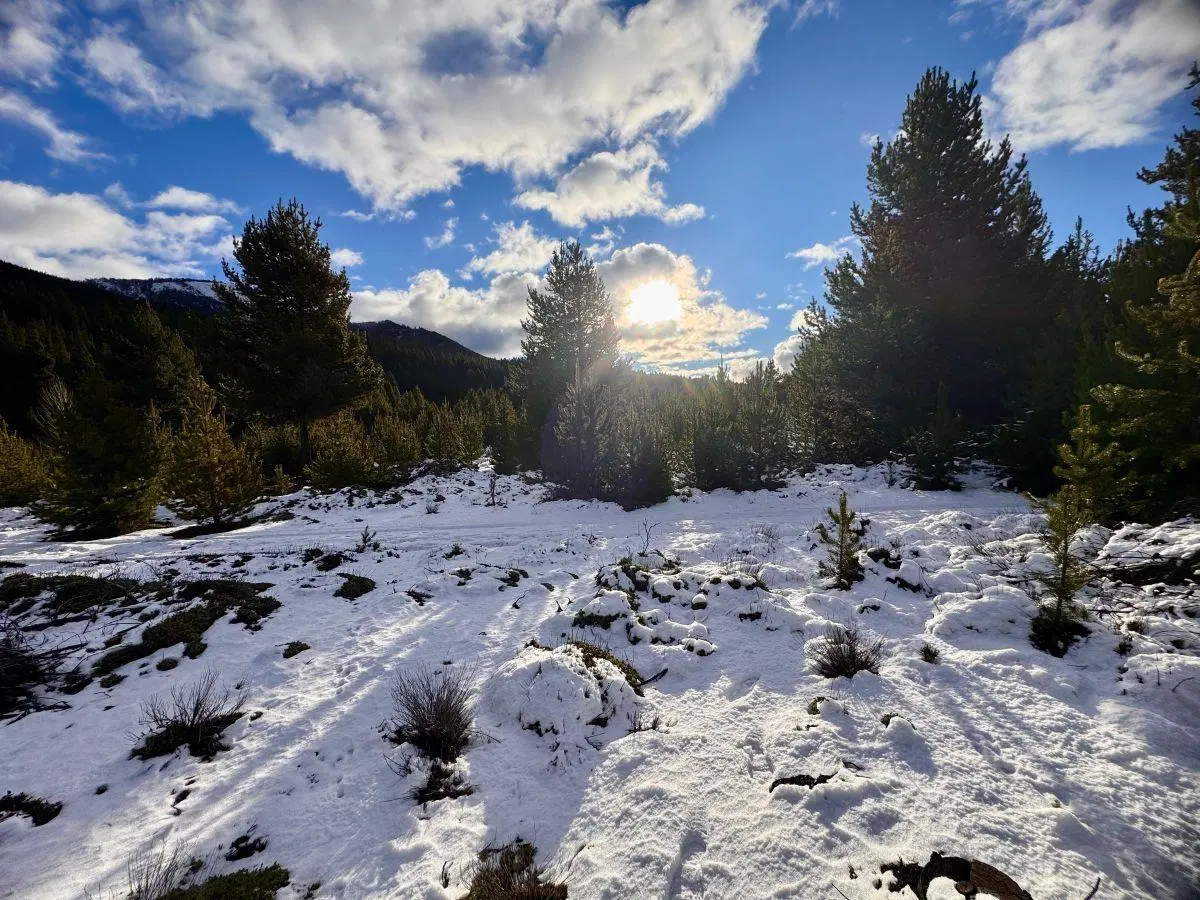 ️Lote Terreno en Villa Lago Meliquina️ San Martin de los Andes Neuquen Patagonia Argentina 5