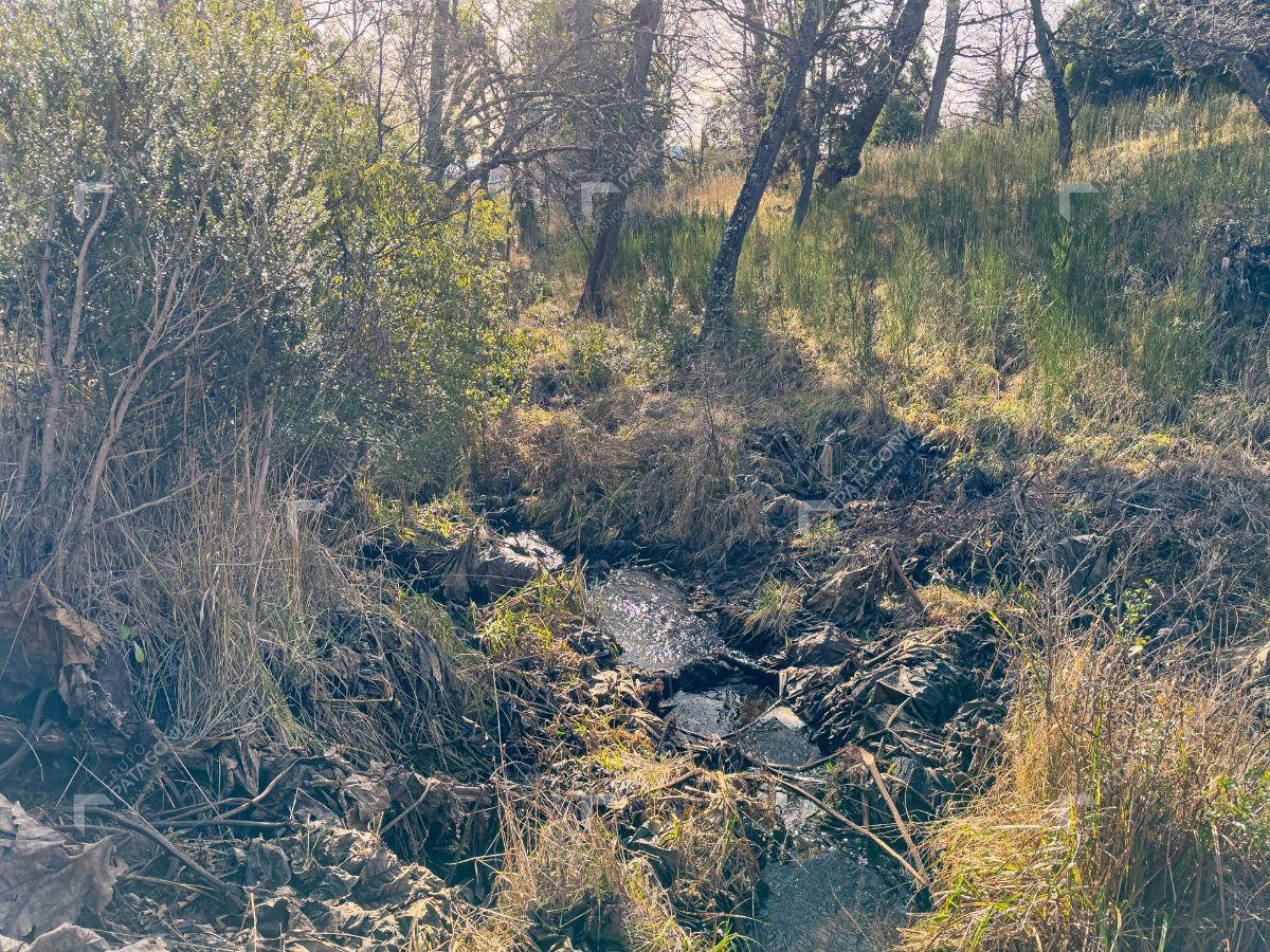 Foto de Fracción en venta de 32.500 M2 Exclusivos de Montaña ubicados sobre Tierra De Sol (ROTUI) San Martín, imagen 5