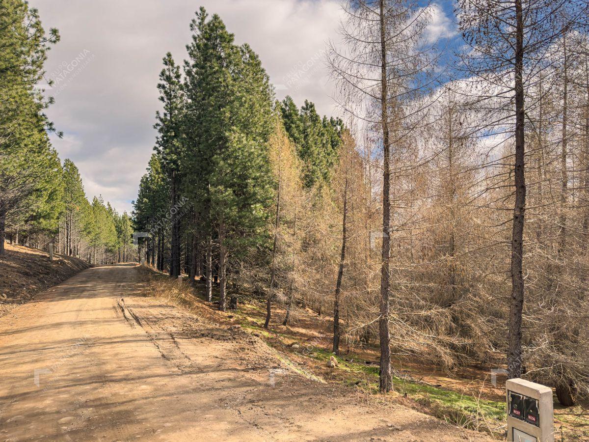 Foto de Terreno de 640 m² en venta en El Remanso San Martín de los Andes, imagen 1