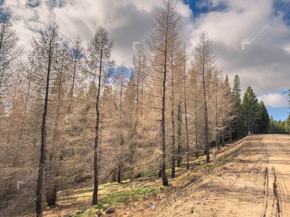 Foto de Terreno de 640 m² en venta en El Remanso San Martín de los Andes, imagen 3