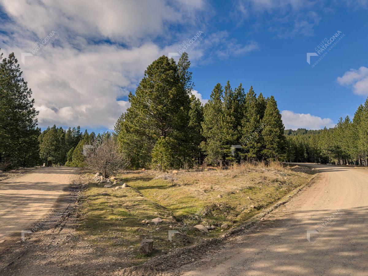 Foto de Terreno de 4046 m² en El Desafío Mountain Resort San Martín de los, imagen 2