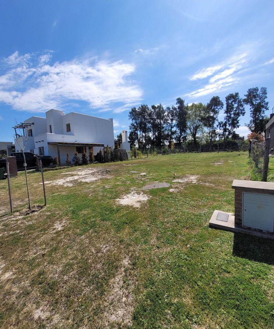 Foto de Lote en Santa Ana Benavidez, imagen 4
