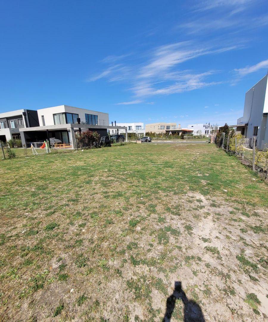 Foto de Lote en Santa Ana Benavidez, imagen 3