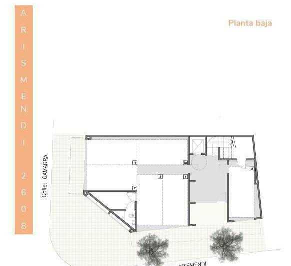 Plano 8