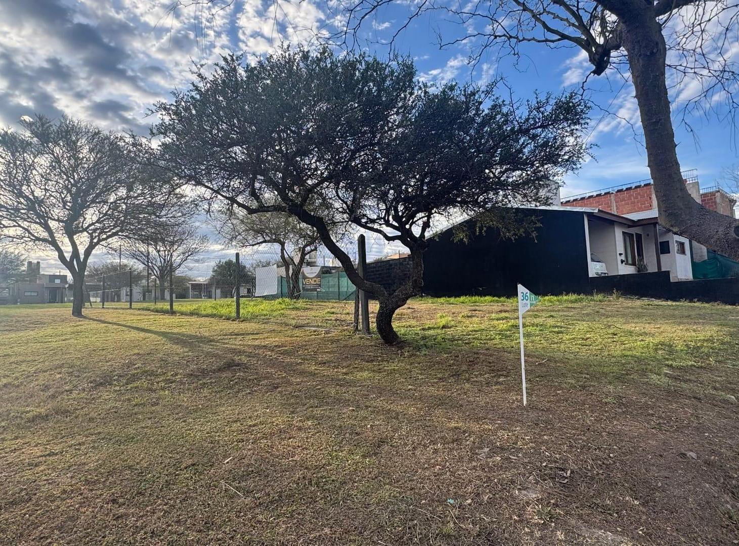 Foto de lote tejas 4 recibo vehículo "cancelado", imagen 3