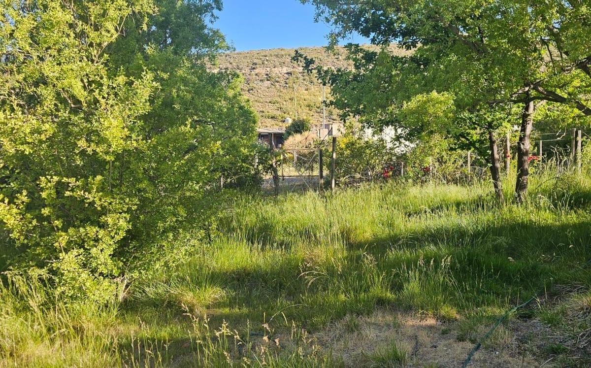 Lujan de Cuyo. Potrerillos. Terreno con Edificacion 3