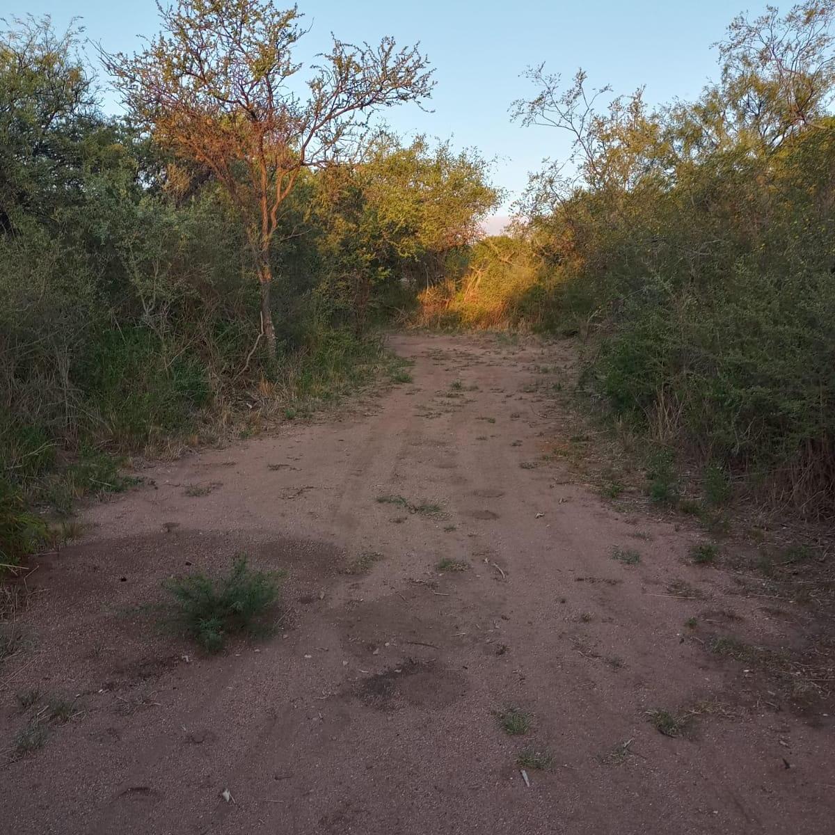 Vendo Terreno Escriturado a 9 Km de Capilla del Monte 2