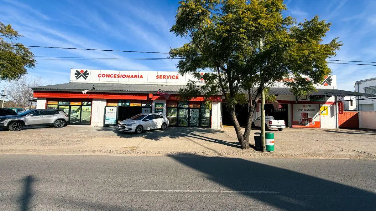 Local comercial en alquiler 5