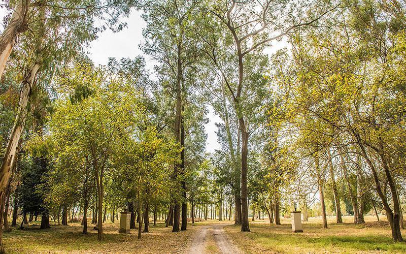 Foto de Terreno en Venta en Estancia Villa María, imagen 3