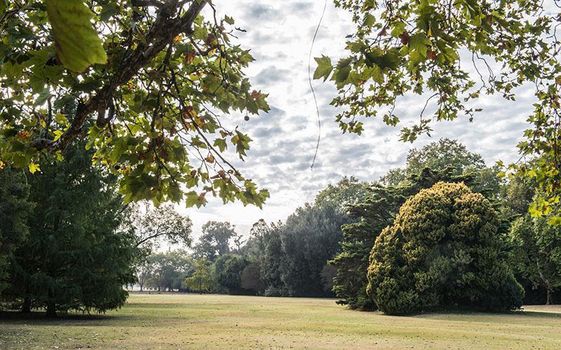 Foto de Terreno en Venta en Estancia Villa María, imagen 4