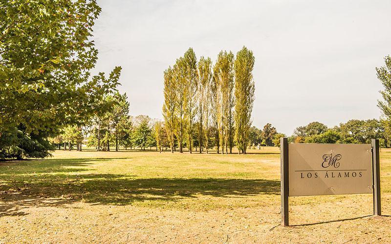 Foto de Terreno en Venta en Estancia Villa María, imagen 5