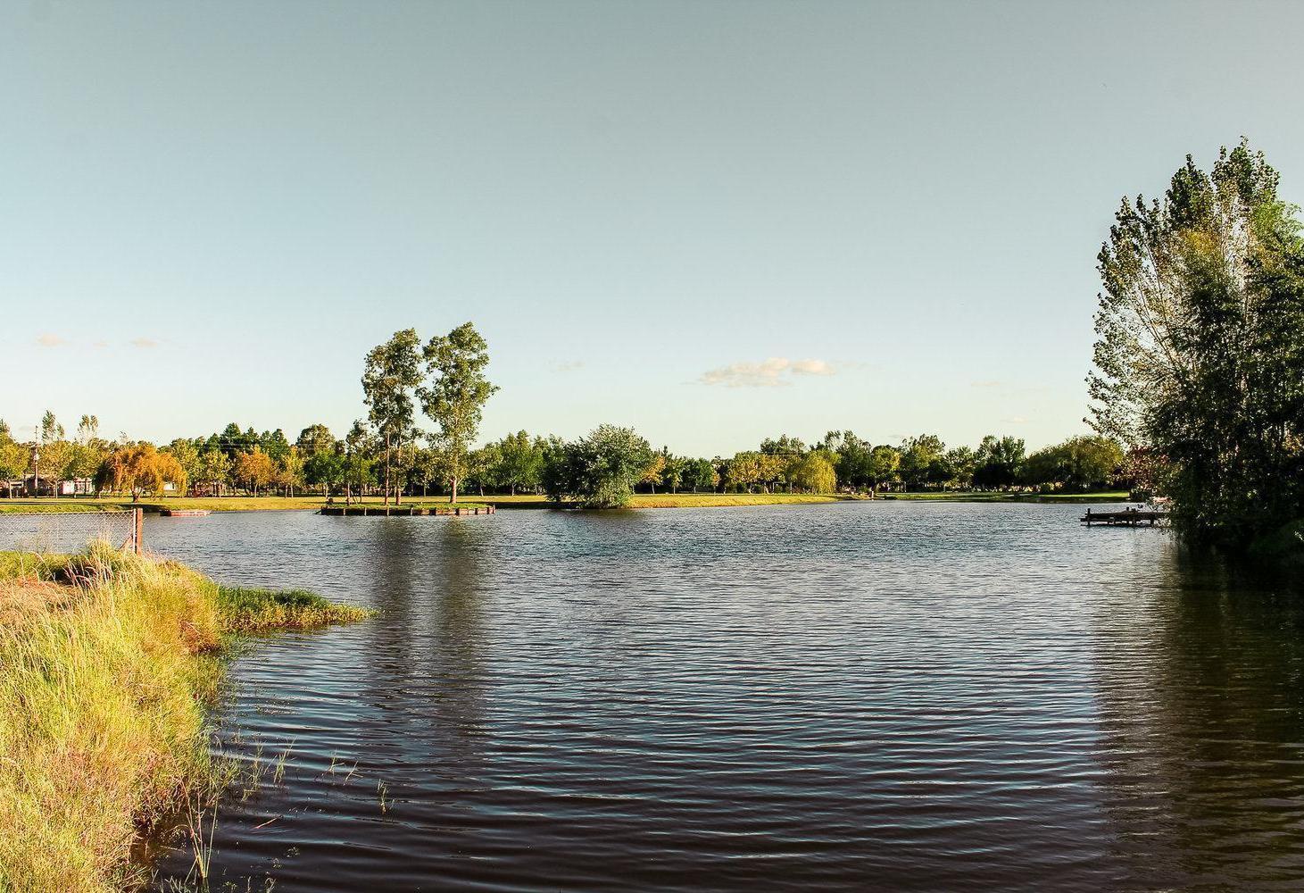 Foto de Terreno en Venta en Fincas de San Vicente Sporting, imagen 4