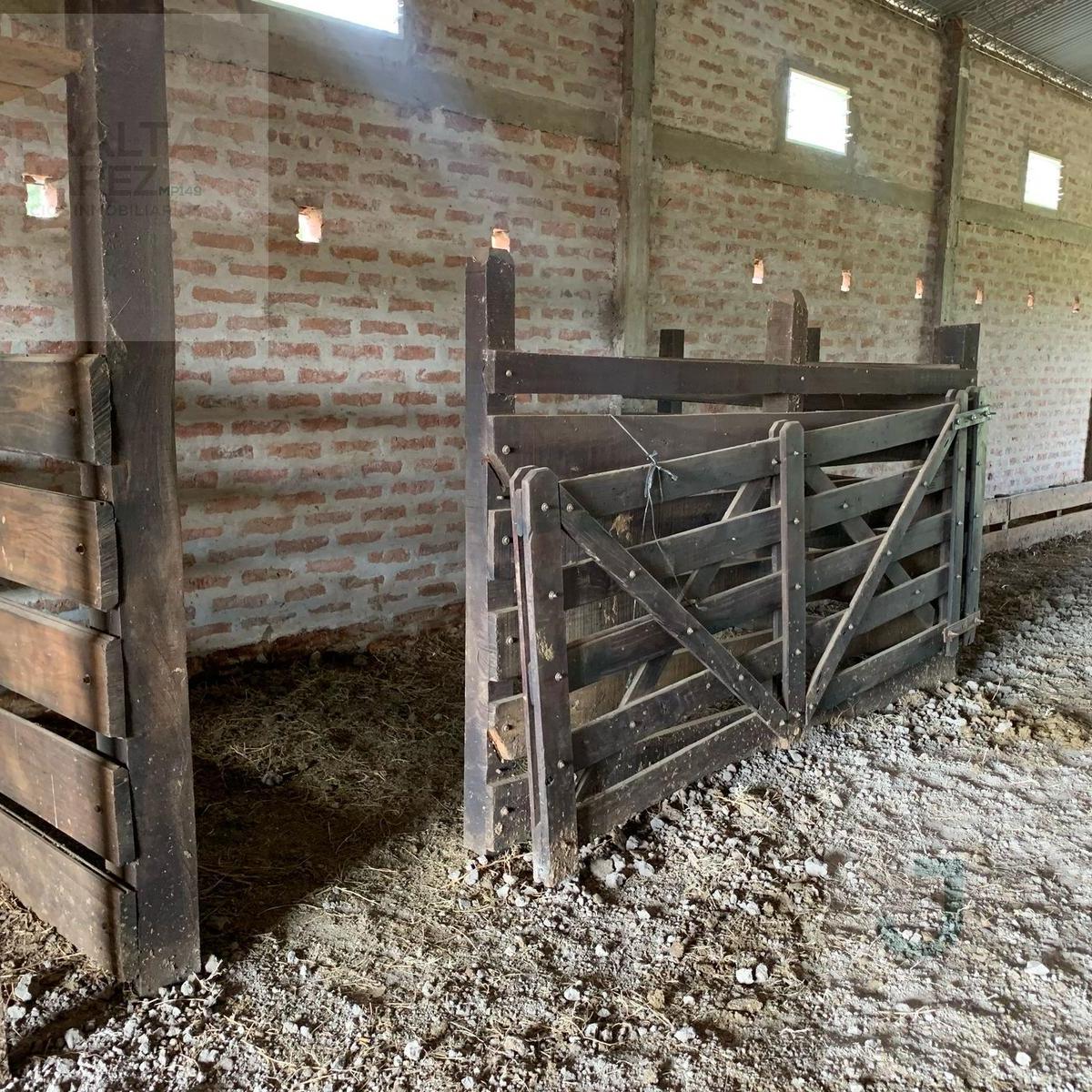 Campo en Napenay, Chaco 1