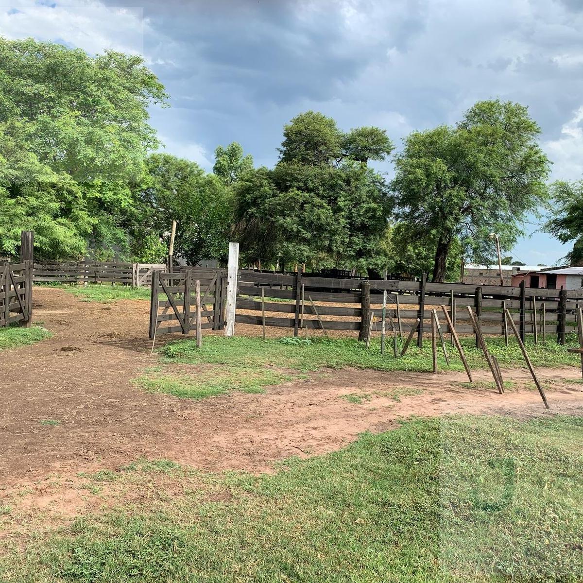 Campo en Napenay, Chaco 2