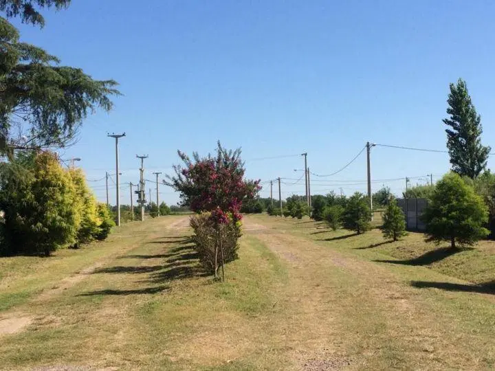 Terreno en Las Casuarinas 4
