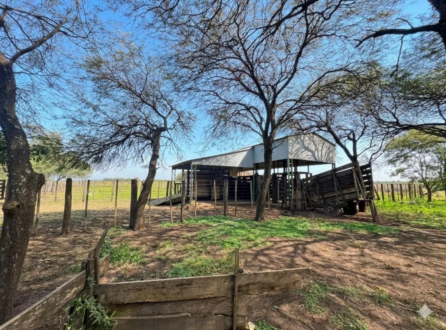 Campo - Coronel Du Graty 2