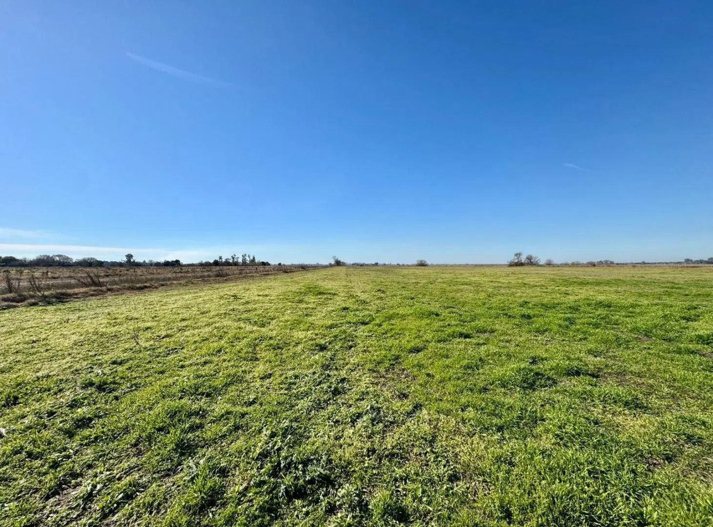 Campo en  Venta - 7,5 Ha 5