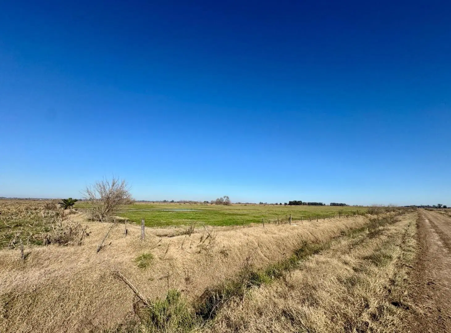 Campo en  Venta - 7,5 Ha 3