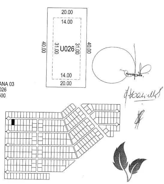 Plano 1