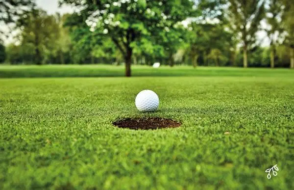 Terreno en La Finca Country Club 2