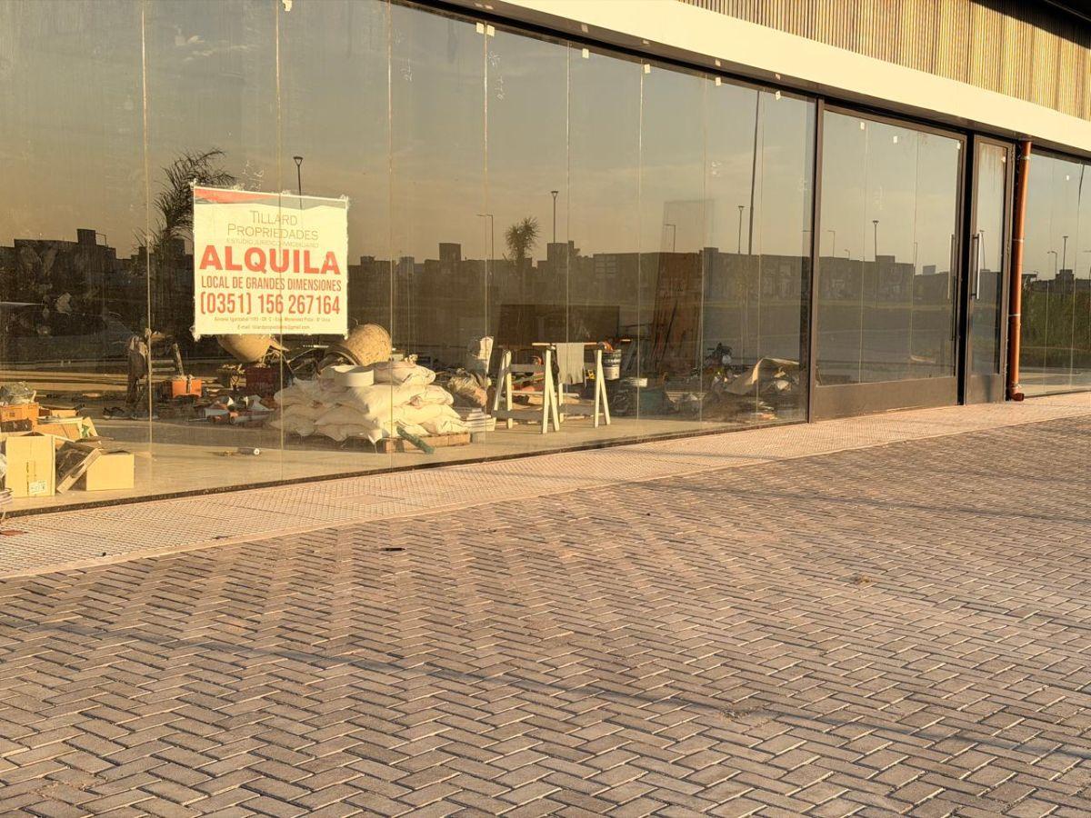 Dos locales en alquiler Docta