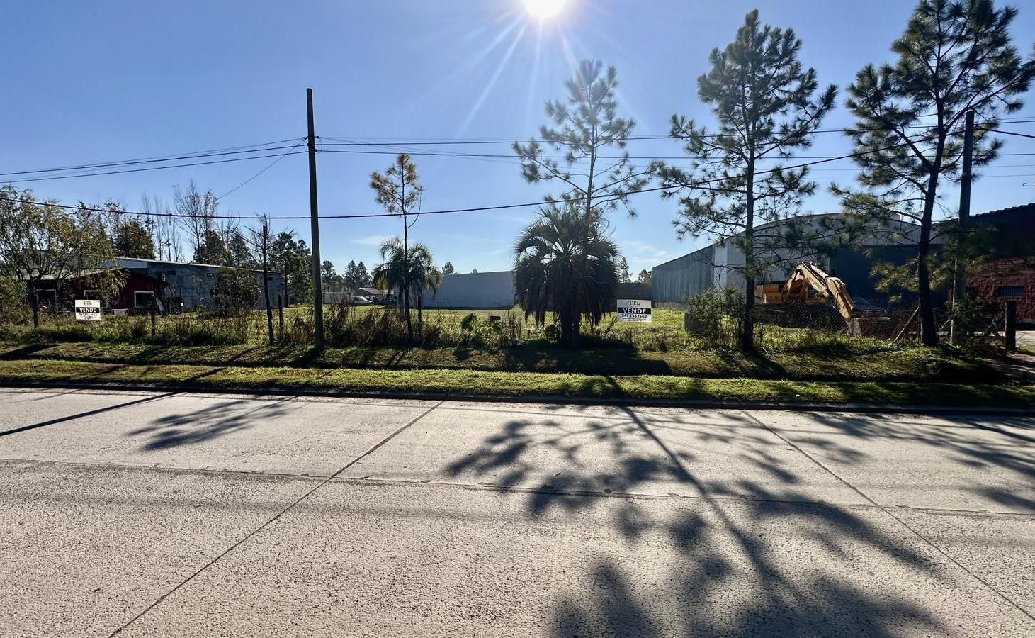 Foto de ESPECTACULAR LOTE EN VENTA EN TIERRA DE SUEÑOS 1, imagen 1