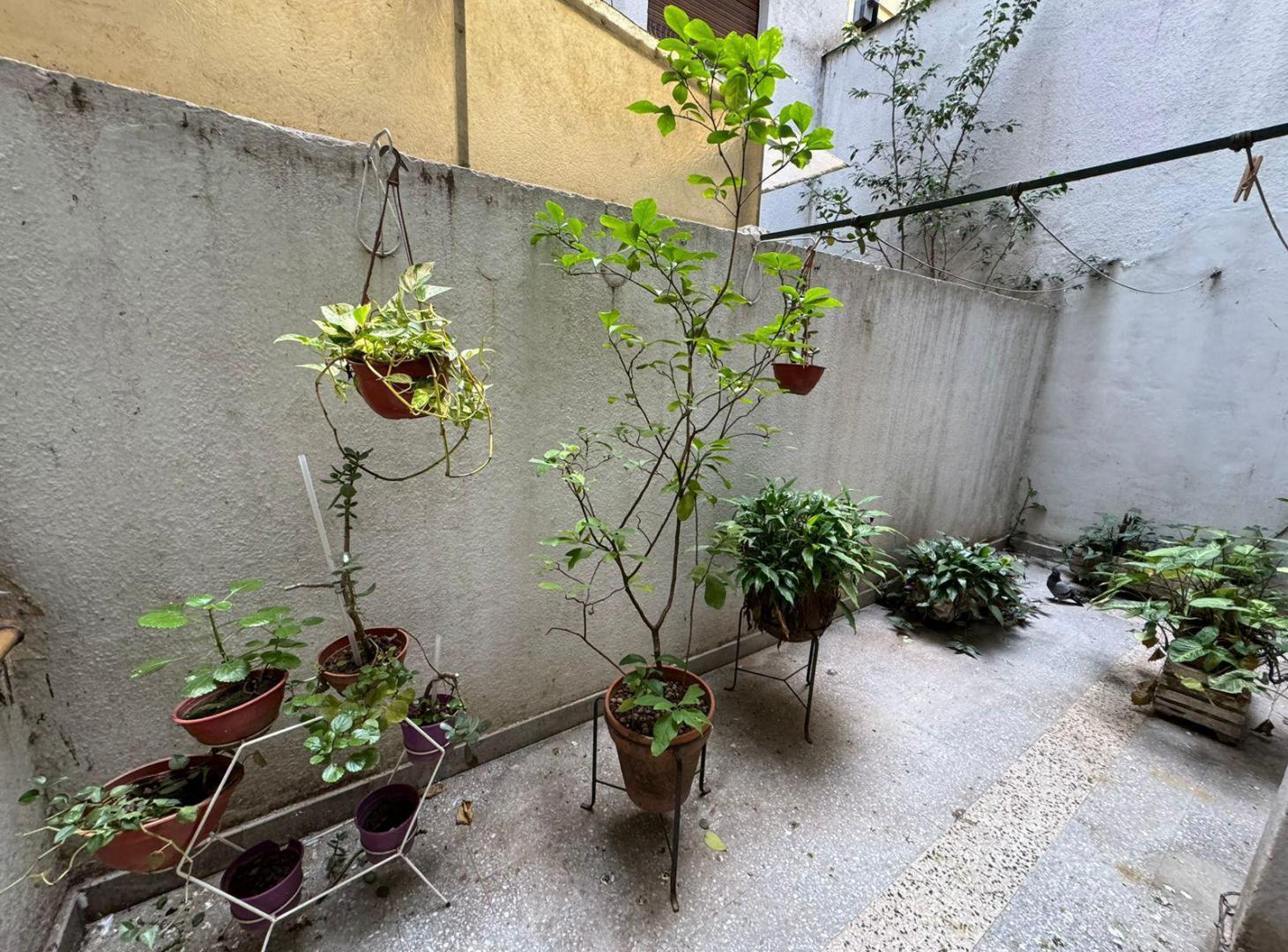 Departamento 2 ambientes en alquiler temporario - Belgrano