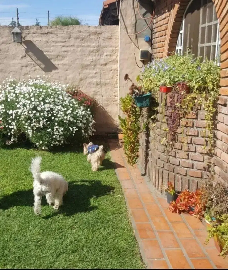 Casa En Venta En Ituzaingó Norte Con Jardín Y Pileta 8