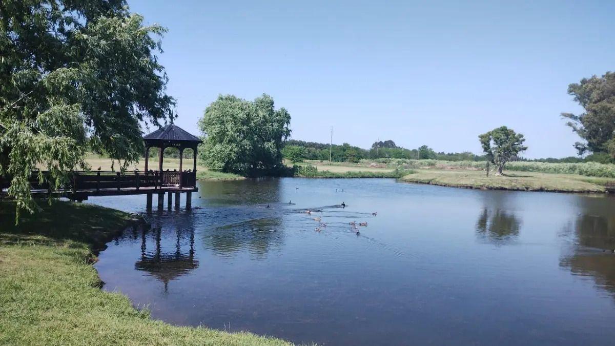 Foto de Lote 1500m2 Haras San Pablo Club De Campo Gral Rodriguez, imagen 4