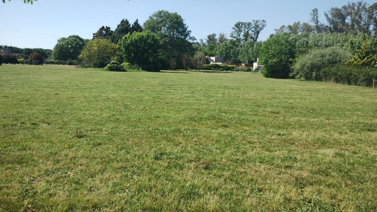 Foto de Lote 1500m2 Haras San Pablo Club De Campo Gral Rodriguez, imagen 2