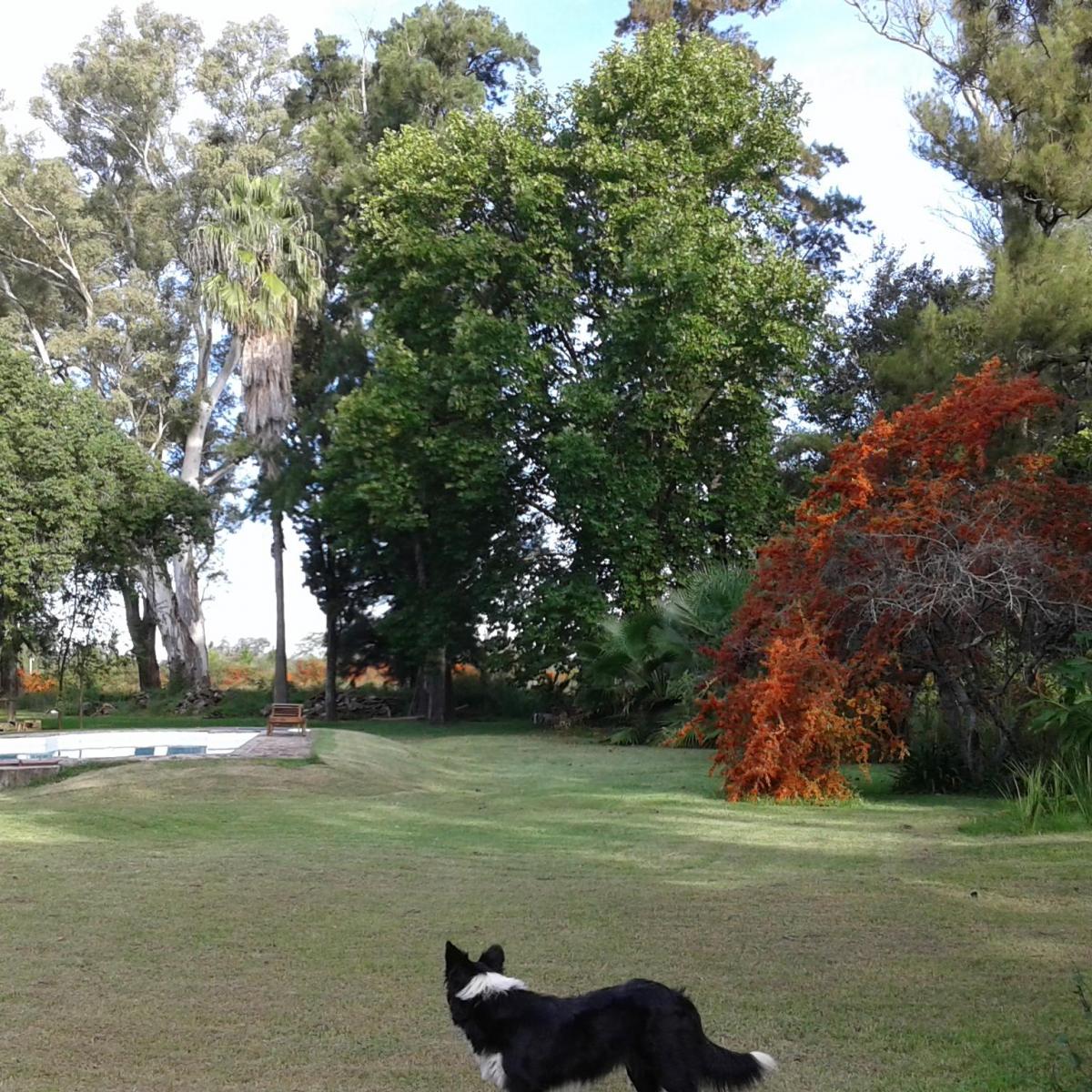 Quinta en Venta en Gualeguay 3