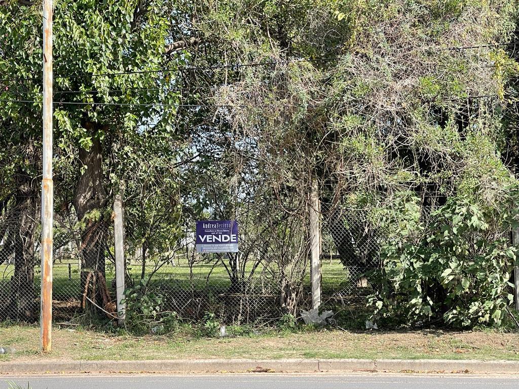 Lote 4 Doña Elsa - Gualeguay, Entre Rios - en Calle Av Illia y Gral Galarza 3