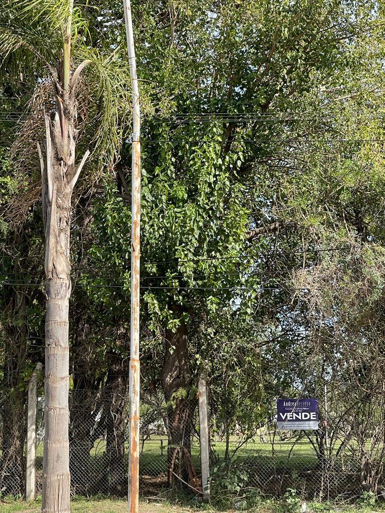 Lote 4 Doña Elsa - Gualeguay, Entre Rios - en Calle Av Illia y Gral Galarza 2