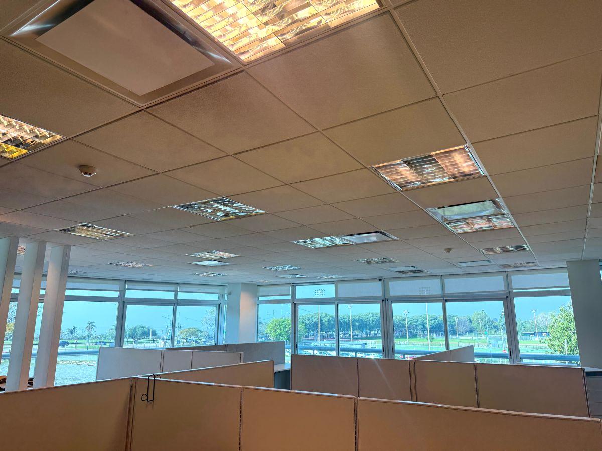 Foto de OFICINA AMOBLADA 560 m² + 10 Cocheras | Lista para entrar | Vista al, imagen 2