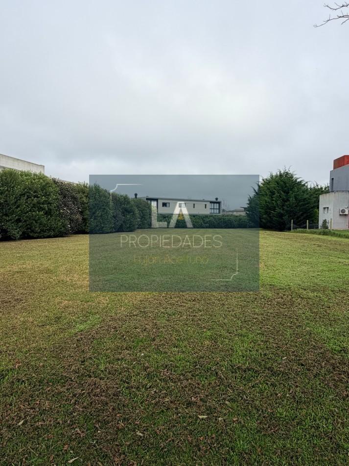 Foto de ARENAS DEL SUR LOTE EN VENTA, imagen 4