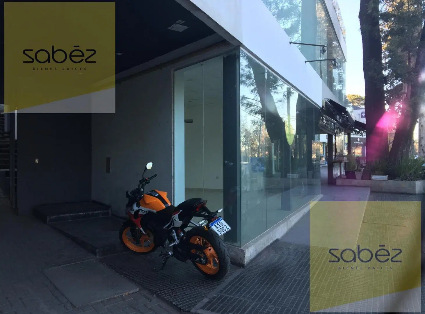 Local en Venta 3