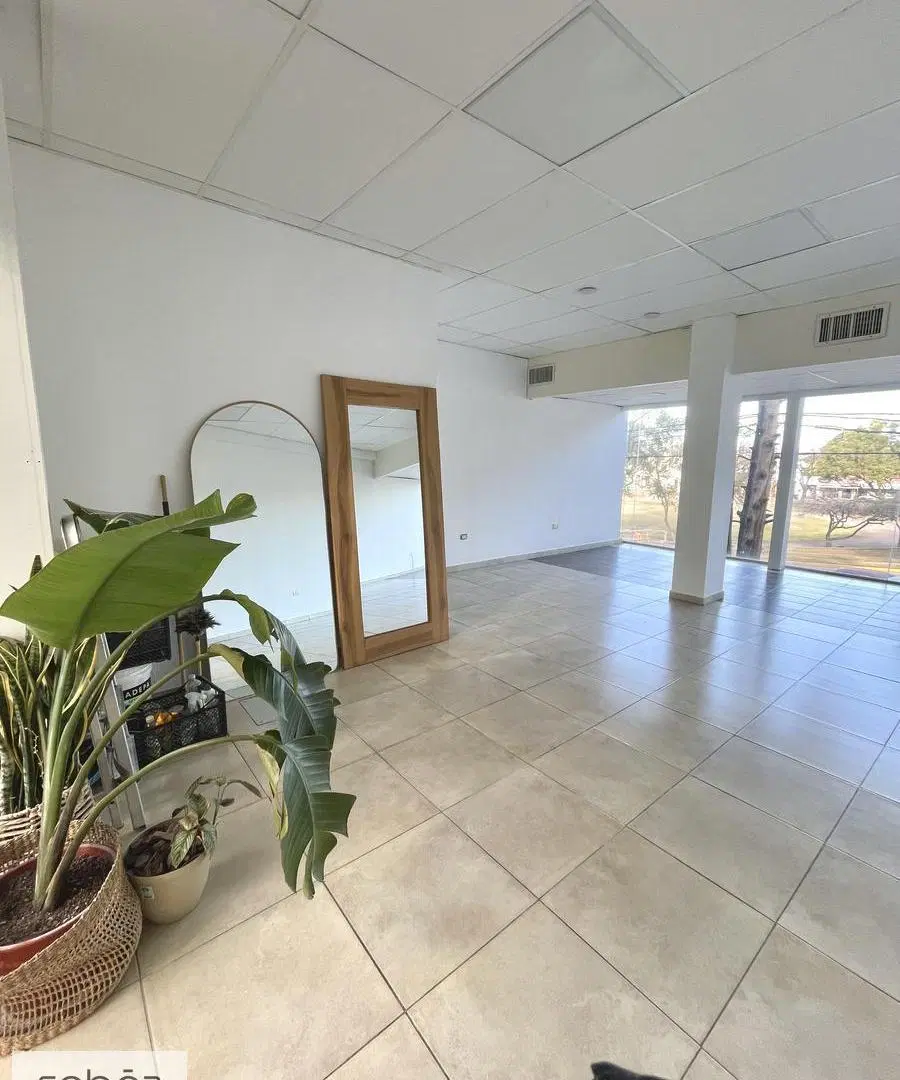 Alquiler Local Villa Allende Golf 5