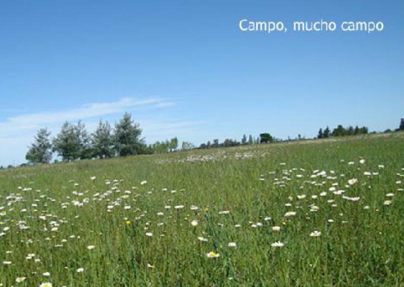 Terreno en Venta en Estancia La Benquerencia Farm Club, Monte, Pcia. Bs. As 5