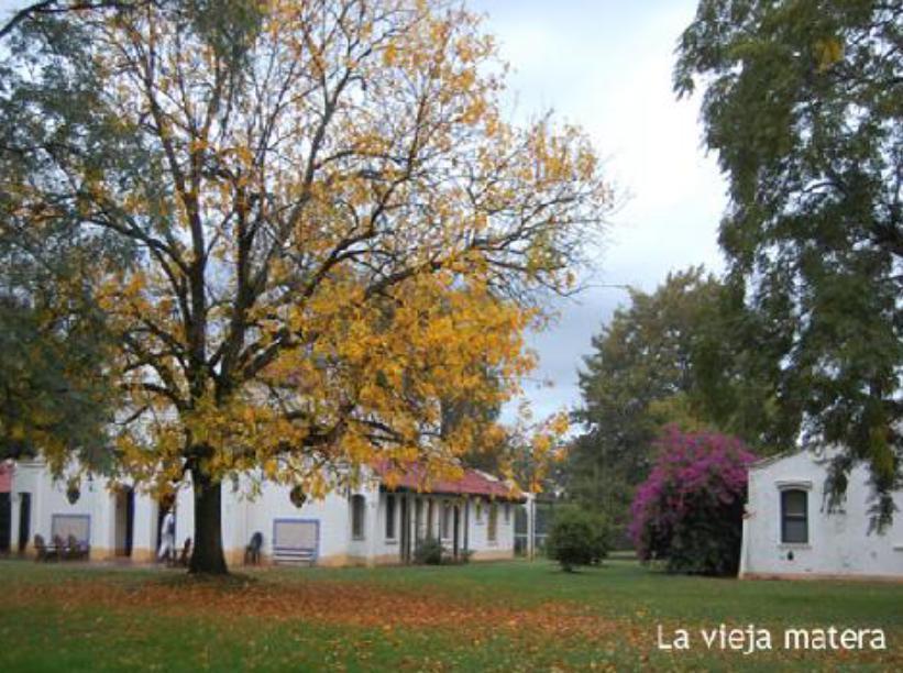 Terreno en Venta en Estancia La Benquerencia Farm Club, Monte, Pcia. Bs. As 3