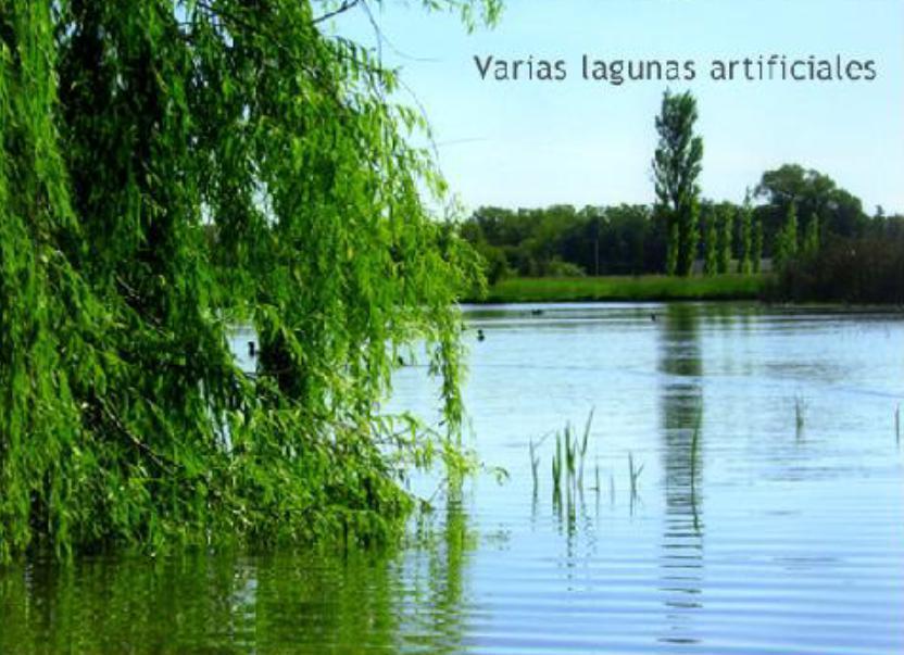 Terreno en Venta en Estancia La Benquerencia Farm Club, Monte, Pcia. Bs. As 4