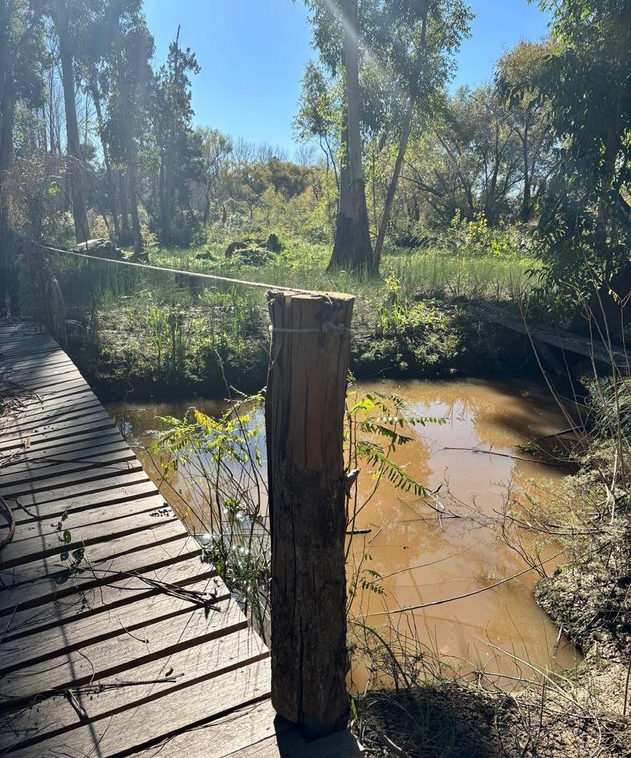 Lote en Rio Carapachay, Islas del Delta, Tigre