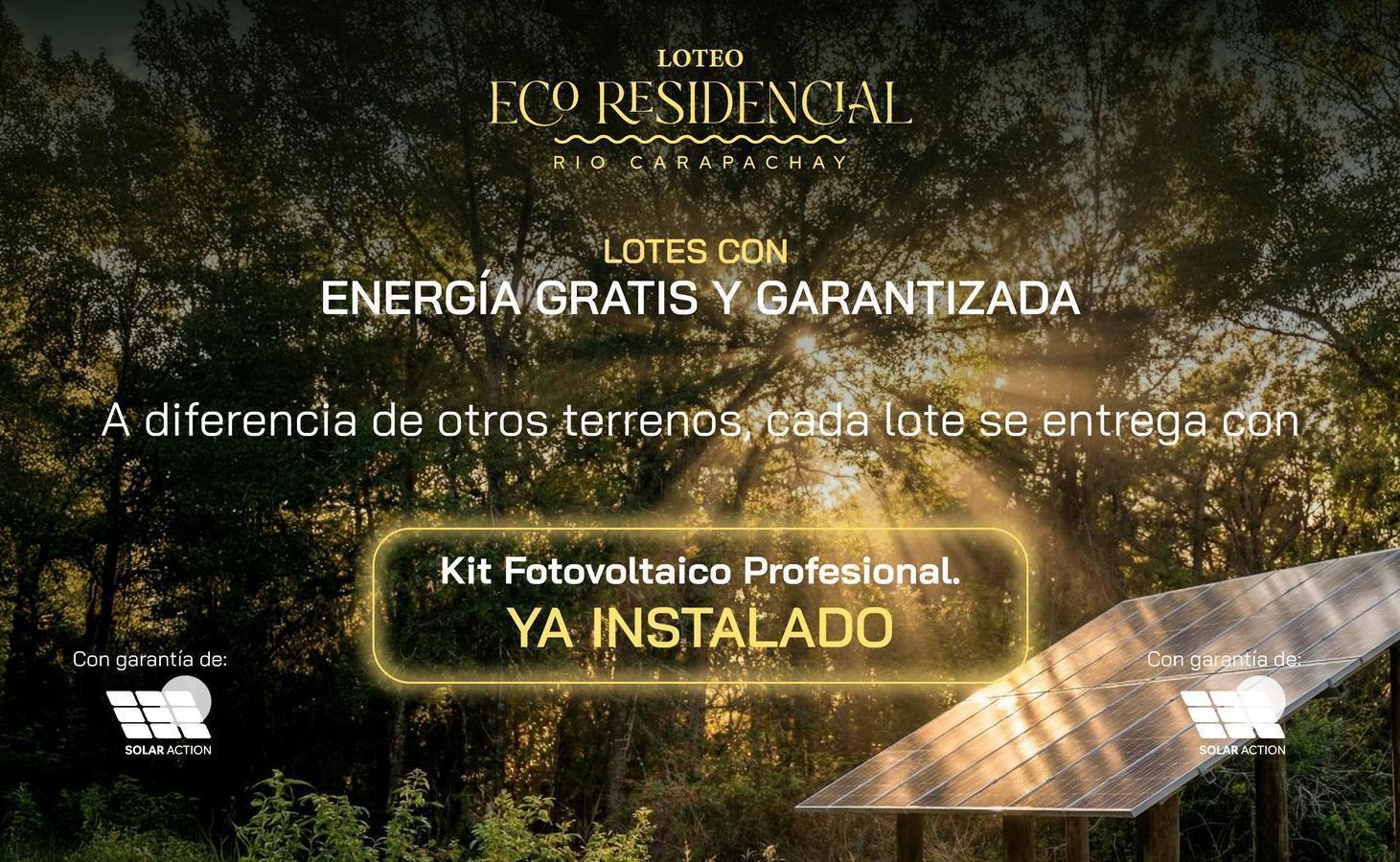 Foto de Lote en Rio Carapachay, Islas del Delta, Tigre, imagen 3